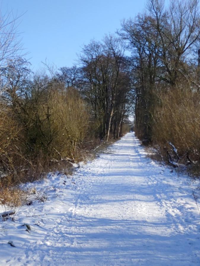 Gut Hohenstein - Platanenappartment Barkelsby Buitenkant foto